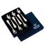 CONJUNTO-DE-6-COLHERES-PARA-CAFE-EM-ACO-INOX-LUGANO-WOLLF