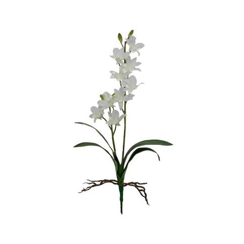 Haste orquídea denfale em plástico Brilliace 60cm branco - Spicy