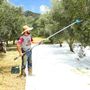 Azeite-casamourad250v2--3-